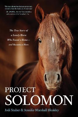 Project Solomon: The True Story of a Lonely Horse Who Found a Home--And Became a Hero - Jodi Stuber