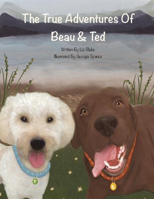 The True Adventures of Beau and Ted - Liz Blake