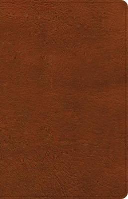 NASB Large Print Personal Size Reference Bible, Burnt Sienna Leathertouch - Holman Bible Publishers