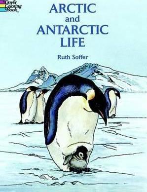 Arctic and Antarctic Life Coloring Book - Ruth Soffer