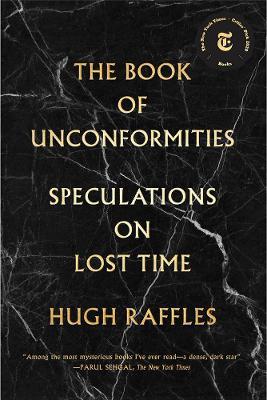 The Book of Unconformities: Speculations on Lost Time - Hugh Raffles