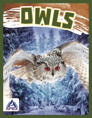 Owls - Golriz Golkar