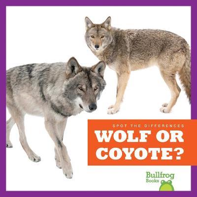 Wolf or Coyote? - Jamie Rice