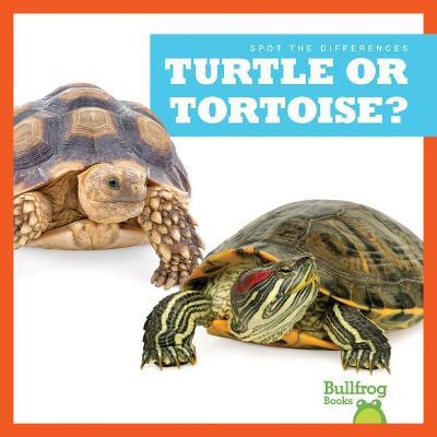 Turtle or Tortoise? - Jamie Rice