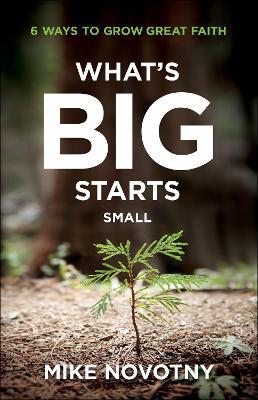What's Big Starts Small: 6 Ways to Grow Great Faith - Mike Novotny