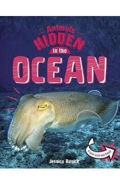 Coperta cărții 'Animals Hidden in the Ocean - Jessica Rusick'
