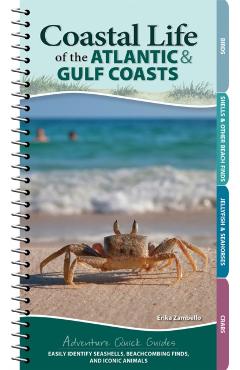 Coastal Life of the Atlantic and Gulf Coasts: Easily Identify Seashells, Beachcombing Finds, and Iconic Animals - Erika Zambello