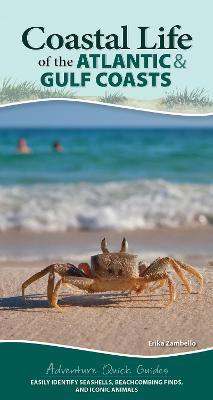 Coastal Life of the Atlantic and Gulf Coasts: Easily Identify Seashells, Beachcombing Finds, and Iconic Animals - Erika Zambello