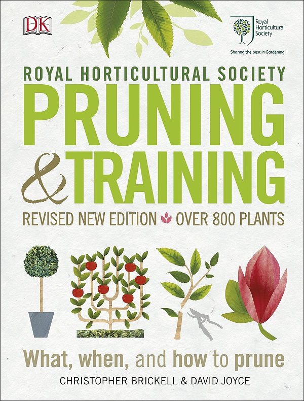 RHS Pruning and Training - Christopher Brickell, David Joyce
