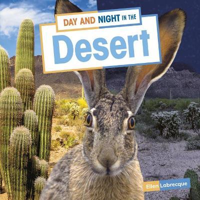 Coperta cărții 'Day and Night in the Desert - Ellen Labrecque'