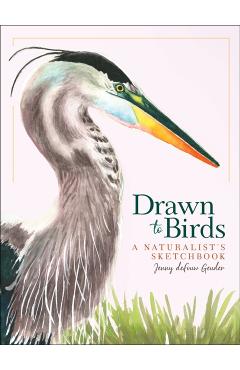 Drawn to Birds: A Naturalist's Sketchbook - Jenny Defouw Geuder