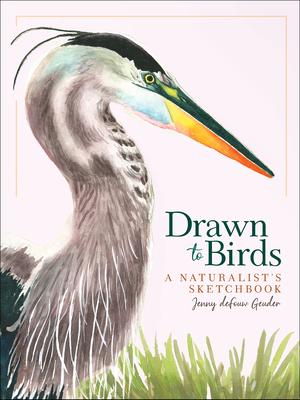 Drawn to Birds: A Naturalist's Sketchbook - Jenny Defouw Geuder