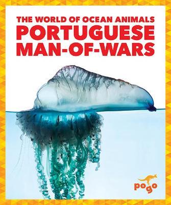 Portuguese Man-Of-Wars - Bizzy Harris
