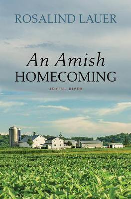An Amish Homecoming - Rosalind Lauer