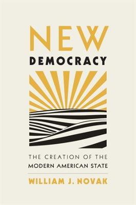 New Democracy: The Creation of the Modern American State - William J. Novak