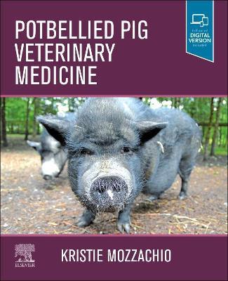 Potbellied Pig Veterinary Medicine - Kristie Mozzachio