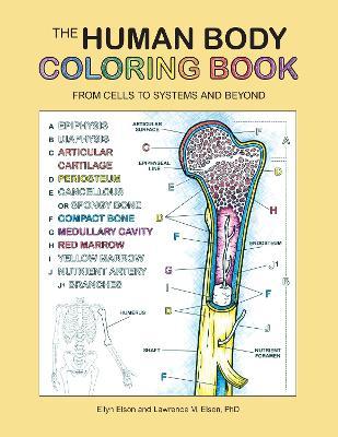 The Human Body Coloring Book: From Cells to Systems and Beyond - Coloring Concepts Inc