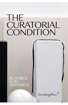 The Curatorial Condition - Beatrice Von Bismarck