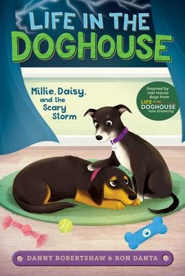 Millie, Daisy, and the Scary Storm - Danny Robertshaw