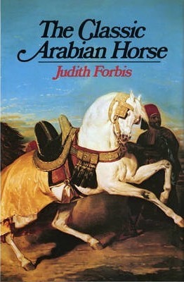 Classic Arabian Horse - Judith Forbis