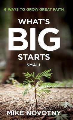 What's Big Starts Small - Mike Novotny