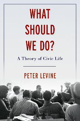 What Should We Do?: A Theory of Civic Life - Peter Levine