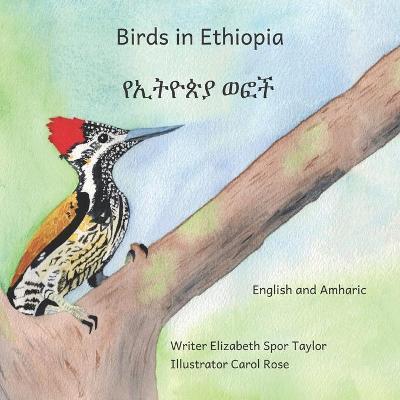 Birds in Ethiopia: The Fabulous Feathered Inhabitants of East Africa in Amharic and English - Ready Set Go Books