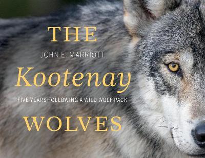 The Kootenay Wolves: Five Years Following a Wild Wolf Pack - John E. Marriott