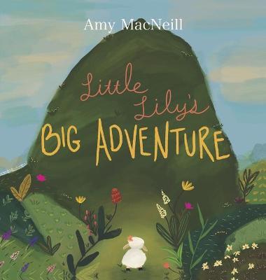 Little Lily's Big Adventure - Amy Macneill