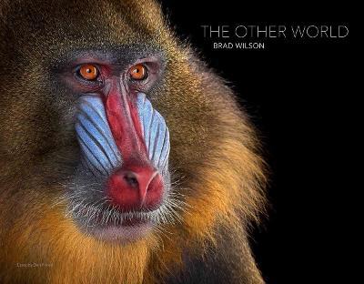 Brad Wilson: The Other World: Animal Portraits - Brad Wilson