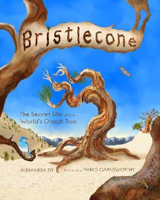 Bristlecone: The Secret Life of the World's Oldest Tree - Alexandra Siy