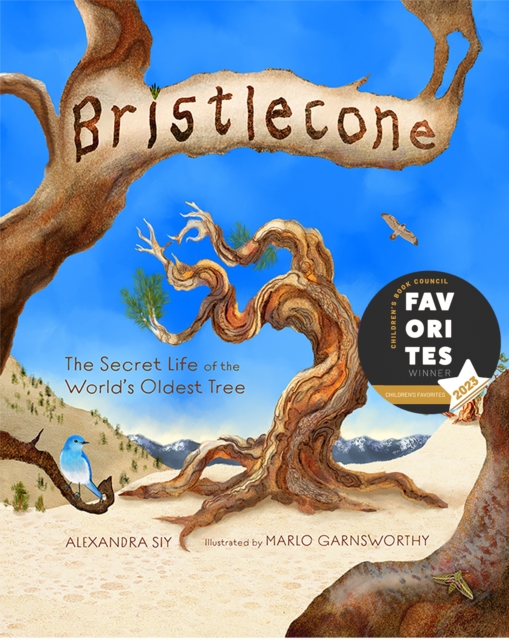 Bristlecone: The Secret Life of the World's Oldest Tree - Alexandra Siy