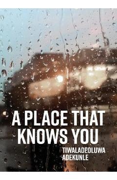 Coperta cărții 'A Place That Knows You - Tiwaladeoluwa Adekunle'