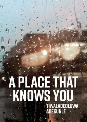 Coperta cărții 'A Place That Knows You - Tiwaladeoluwa Adekunle'