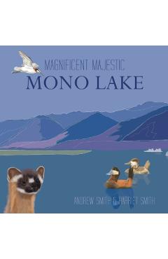 Magnificent Majestic Mono Lake - Andrew T. Smith