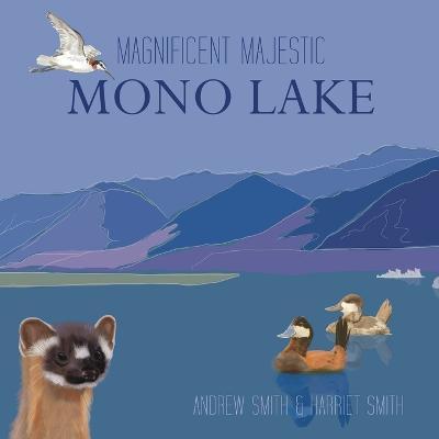 Magnificent Majestic Mono Lake - Andrew T. Smith