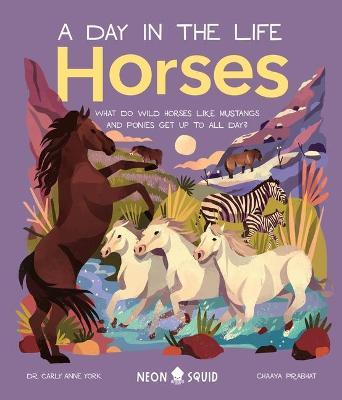 Horses (a Day in the Life): What Do Wild Horses Like Mustangs and Ponies Get Up to All Day? - Carly Anne York