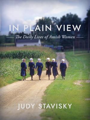 In Plain View: The Daily Lives of Amish Women - Judy Stavisky