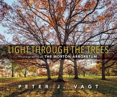 Light Through the Trees: Photographs at the Morton Arboretum - Peter J. Vagt