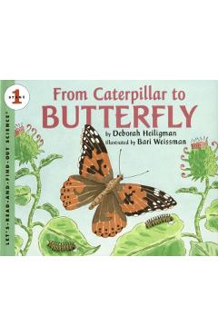 From Caterpillar to Butterfly - Deborah Heiligman