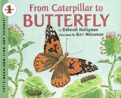 From Caterpillar to Butterfly - Deborah Heiligman