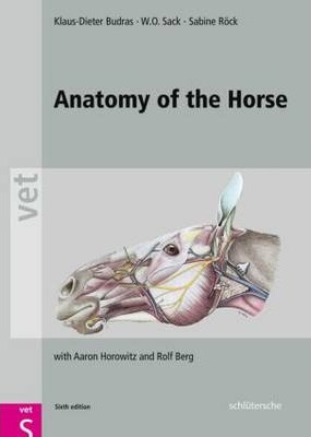 Anatomy of the Horse - Klaus-dieter Budras
