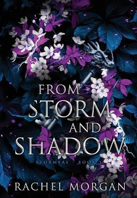 From Storm and Shadow - Rachel Morgan