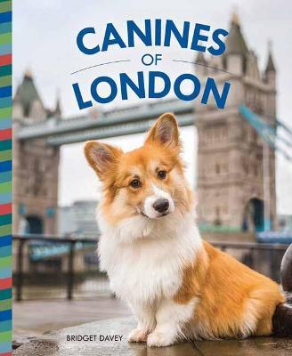 Canines of London (Dog Photography, Dog Lovers Gift) - Bridget Davey