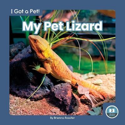 My Pet Lizard - Brienna Rossiter