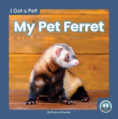 My Pet Ferret - Brienna Rossiter