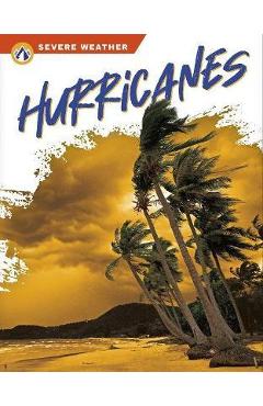 Poza produsului Hurricanes - Brienna Rossiter