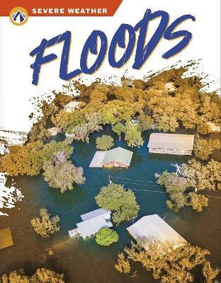 Floods - Sharon Dalgleish