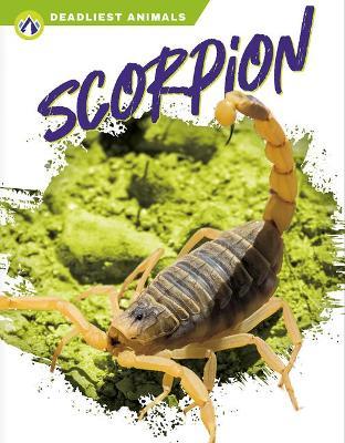 Scorpion - Rachel Hamby