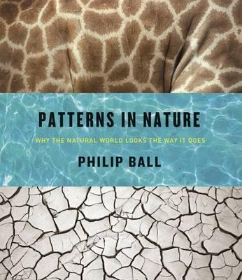 Patterns in Nature: Why the Natural World Looks the Way It Does - Philip Ball